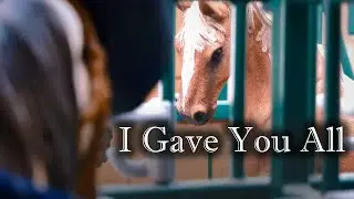 I Gave You All | Schleich Music Video | Kingdom