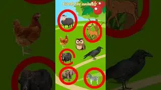 Circle the animals# English worksheet# shorts # trending shorts# viral shorts#