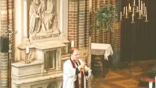 Pilgrimage (Relic of the Holy Cross) - Bedevaart kruisreliek Nederwetten