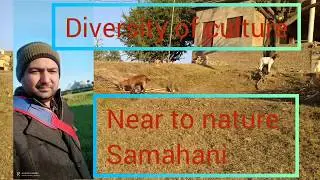 Beauty of Samahni || Village of Pakistani Kashmir