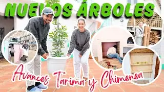 NUEVOS Arboles para EL  PATIO 🌱 | ASÍ VA LA OBRA DE LA SALA  y la CHIMENEA