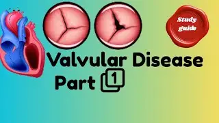Valvular Heart Disease NCLEX Review | Stenosis, Regurgitation, Symptoms, Interventions & Medications