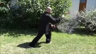 Taiji Quan style  Yang_LVDT
