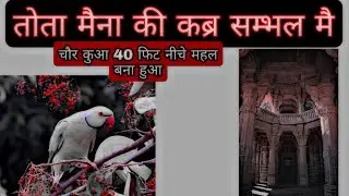 तोता मैना की कब्र और चोर कुआ की कहानी (Sambhal UP38)  #01st vlog #new #yutube #first vlogg