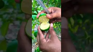 Cutting Sweet lime #sweetlime #shorts #trending #viral