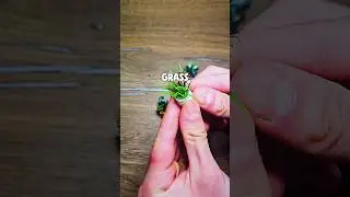 I Bought Tiny Plants On Temu