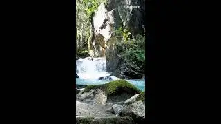 A Beautiful Forest Cascade: (Looped Clip) Live ASMR