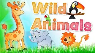 Wild Animals | WildLife | Wild Animals And Names For Kids | Kidos Wild Life.
