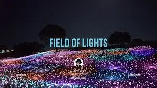 FIELD of LIGHTS