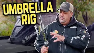 Umbrella Rig Fishing for Smallmouth Bass with Mark Zona