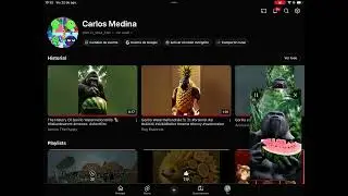 Gorilla eats watermelon and turns into Gorillo Watermelondrillo