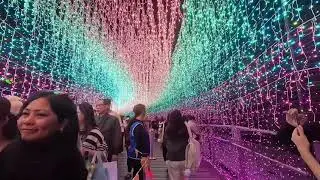4K- Walking enjoy the view of light in banqiao 2025