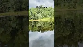 Reflection&hellip; nature walk #travel #travelvlog #trail #r&eacute;servoir #naturewalk #naturetrails