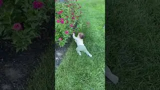 Baby exercise after dinner#baby #babygirl #可愛い #cutebaby #10monthsoldbaby