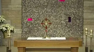 Thursday Daily Mass - 1/22/2026