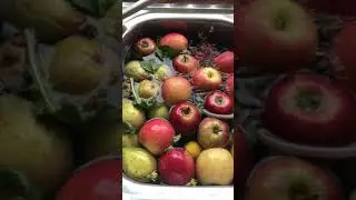 CLEANING FOOD WITH OZONE