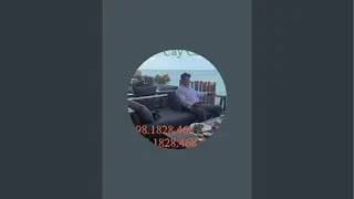 &diams;️ TVMV # 057. Trồng Mai Ph&ocirc;i Gh&eacute;p V&agrave;o Chậu To L&acirc;u D&agrave;i ||CCDV.