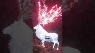 5 Legendary Animals in AC Shadows
