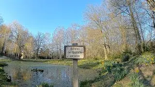 Fr&uuml;hlingserwachen am Theresienstein in HOf