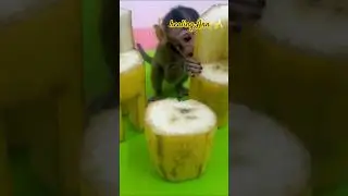 🍌BANANA GRAB BY MONKEYS 🐒 #trending #fruitcarving #bananaart #food #fruitart #satisfying