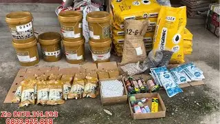 Thuốc chăm cây chính hãng
