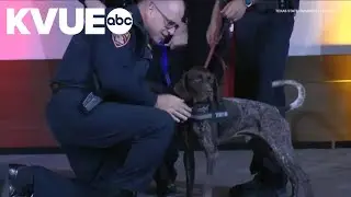 2 therapy dogs join Texas State University Police Department