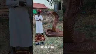 Ar Rahman Al Quran #views #viralreels #makkah #recitation #1millionviews #shorts