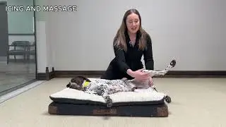 ICING AND MASSAGE