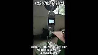 3000kg Weighing Crane Scale 2T 10ton Digital Hanging Scale Electronic Wireless Industrial Hook Scale