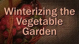 Winterizing the Vegetable Garden &ndash; Family Plot