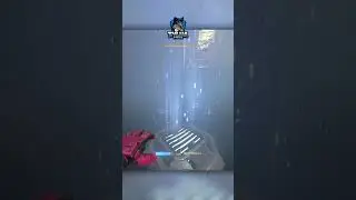 I WENT UP 😂