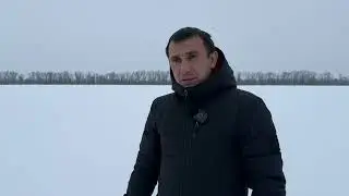 Январь 2026|Пшеница озимая|Состояние на 13 января