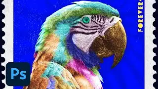 Photoshop Daily Creative Challenge - Pop Art Photo Editing | Adobe Creative Cloud