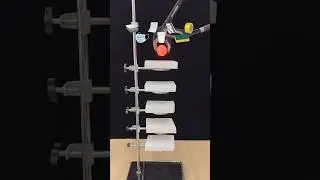 Which Item is Most Satisfying?#satisfying#foryou#experiment