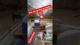 Watch OUT! Log! ⬇️ #catfish #catfishing #fishing #fisherman #fish #river #riverfishing #subscribe