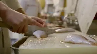 The life of a sushi apprentice is not glamorous