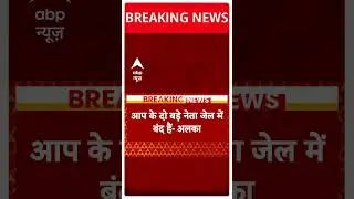 Alka Lamba Exclusive : 'AAP की वजह से गठबंधन में विवाद'- अलका लांबा | Delhi Breaking | ABP News