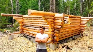 One year alone in the forest building a log cabin.