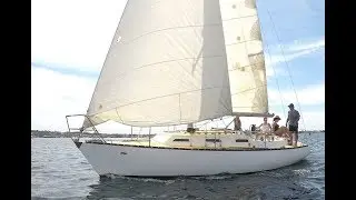 Mottle 33 Cruising Yacht - Walkthrough