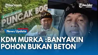 Dedi Mulyadi Evaluasi, Ancam Cabut Izin Tempat Wisata di Bogor Jika Masih Banyak Alih Fungsi Lahan