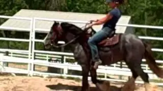 Gypsy Horse - Smokie