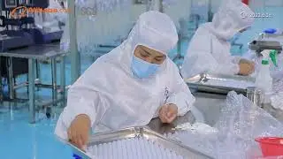 Shandong Zhenfu Medical Device Co., Ltd.