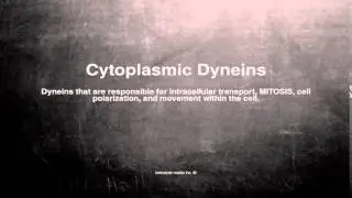 Medical vocabulary: What does Cytoplasmic Dyneins mean