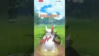 Legend has NO RESPONSE to my Zangoose safe switch 🔥 Hoenn Cup #pokemongo #pokemon #gbl #pvp #gamer