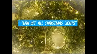 Control All Your Christmas Lights with Just Your Voice!