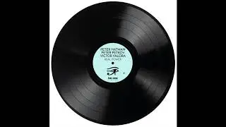 Peter Hatman, Peter Petkov, Victor Valora - Real Power (Original Mix)