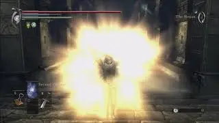Praise the sun gesture in Demon&acute;s Souls (PS3)