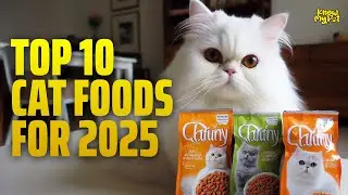 Top 10 Cat Foods for Indoor & Active Cats | Healthier Diet Choices in 2025