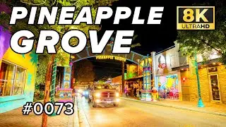 8K Timelapse of the Pineapple Grove Arts District in Delray Beach, Fl (Sony A7R4 & G-Master 16-35mm)