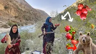 Khadija's fight witha bear and aleopard at night in the mountains while pickingmountain pomegranates